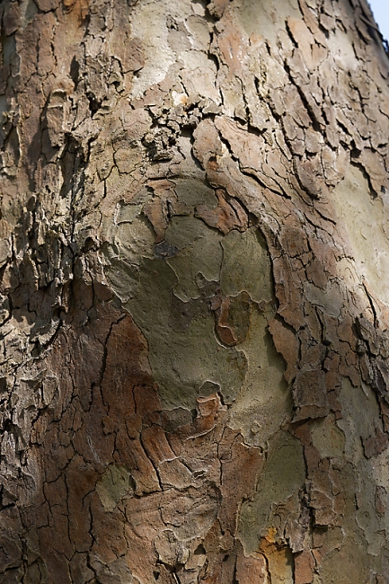 Jardin des Impressionnistes-MAI14-106